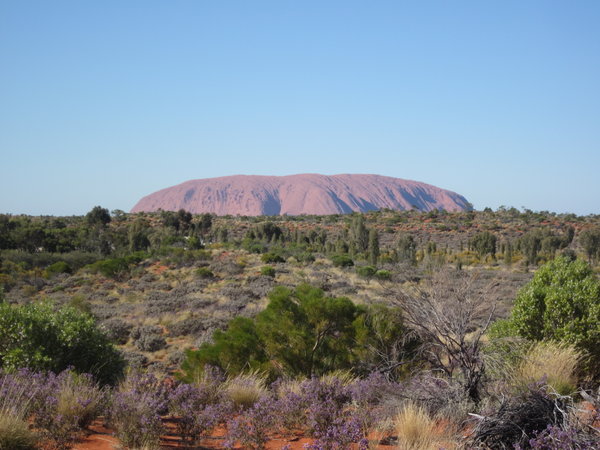 Uluru at day