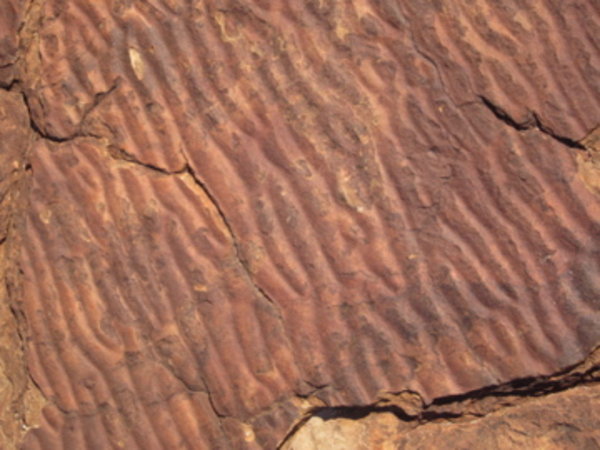 Fossilised sea ripples on the canyon floor