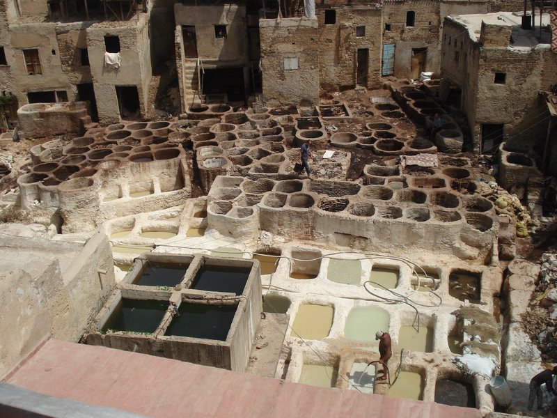 DSC01257 The tannery of Fes