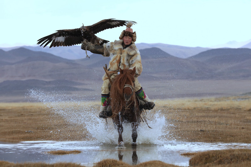 Eagle Hunter in Action