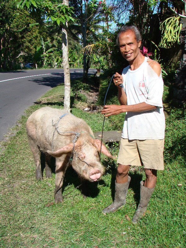 The villager with a pig