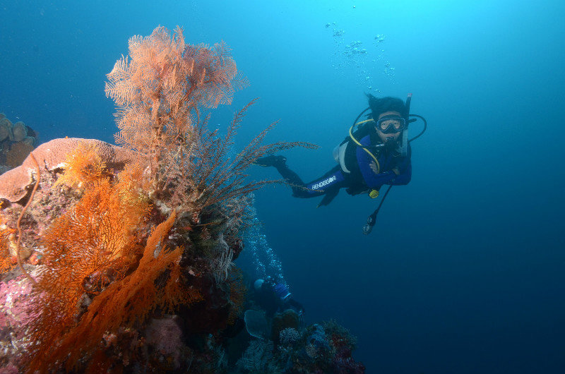 Diving at Raja Ampat