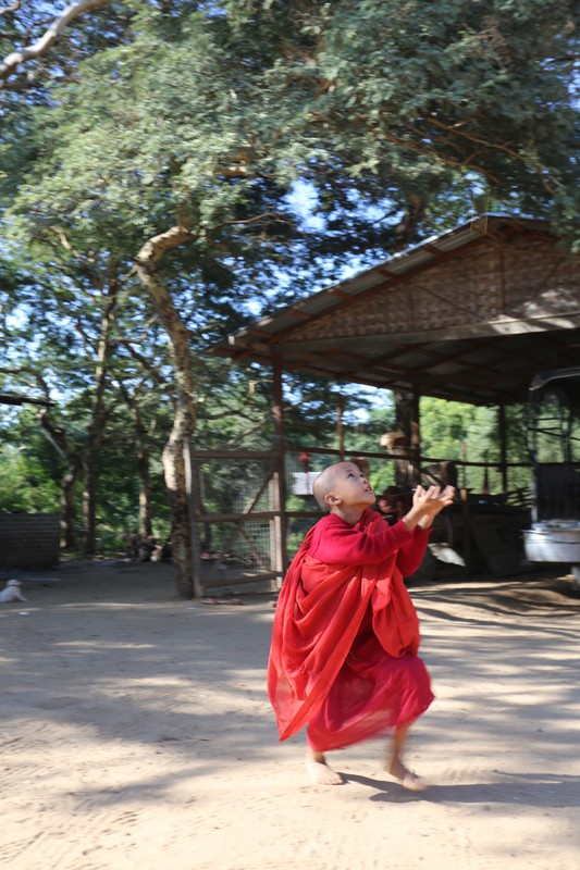 A novice playing at the backyard of the Monastery