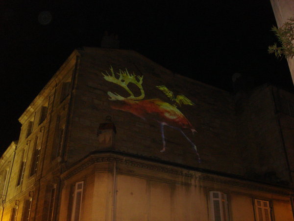 Strange animal projection on wall