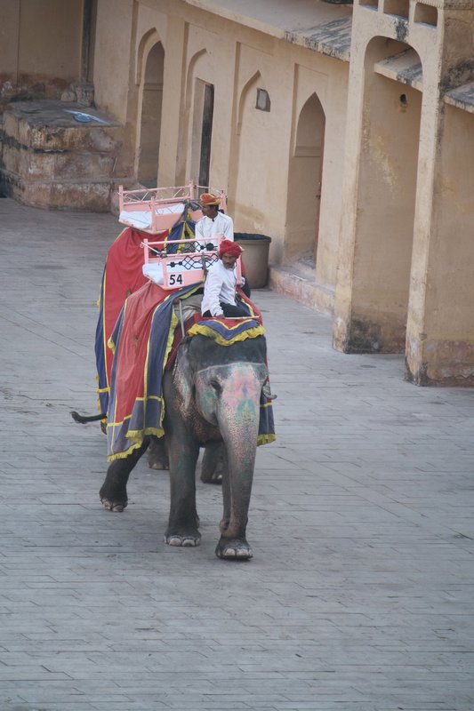 Amber Fort Elephant Ride (4)