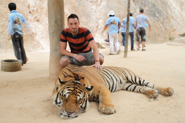 Andy with a drugged up tiger! 