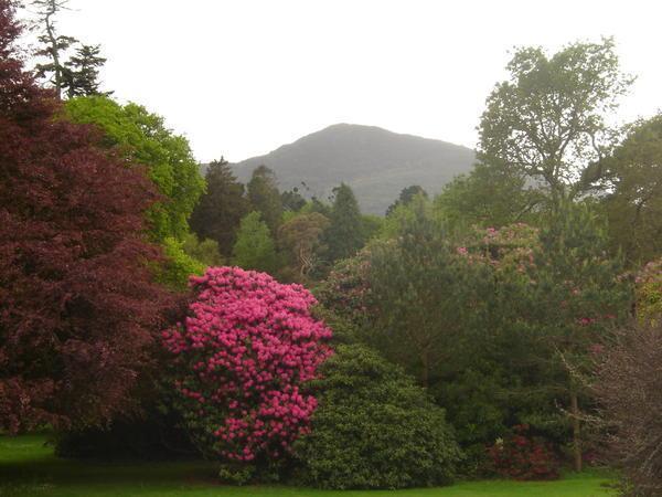 View from the Muckross Manor Gardens