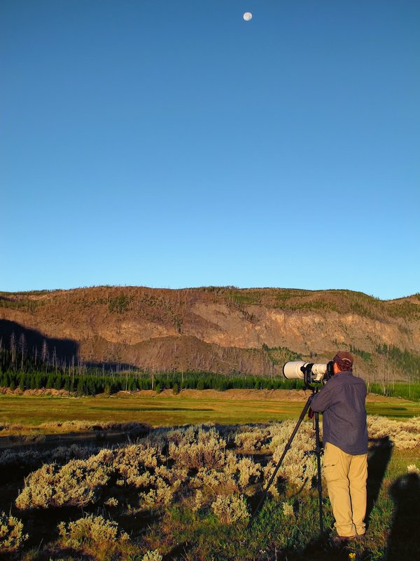 David shooting bison herd with his long lens