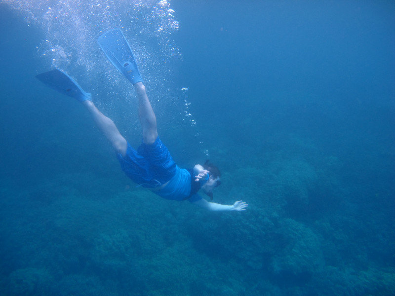 Curtis diving