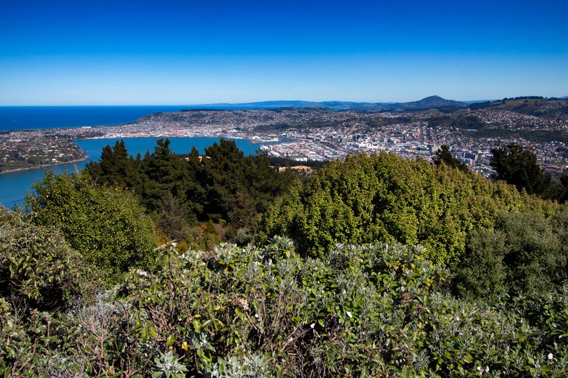View of Dunedin from Signal Hill lookout