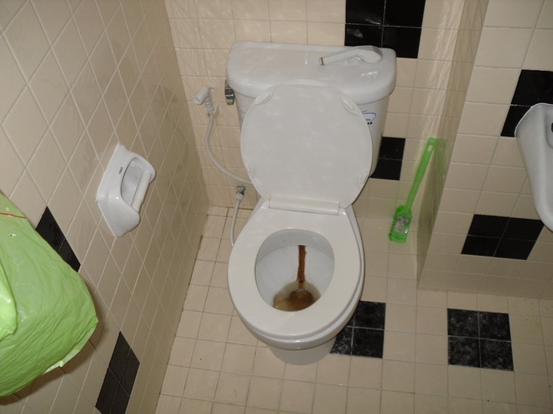 Normal toilet