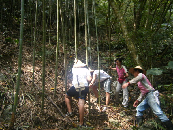 Cutting Bamboos