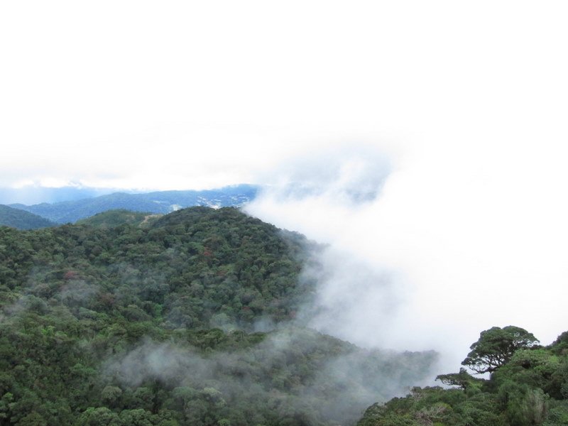 Blick vom Gunung Brinchang (2032m) auf die Highlands