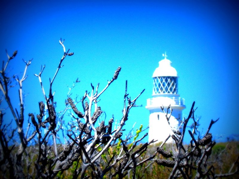 Lighthouse @ Cape Naturaliste