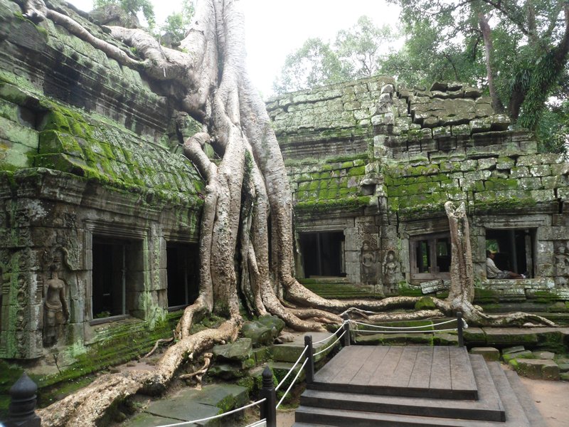 Jungle Temple Photo