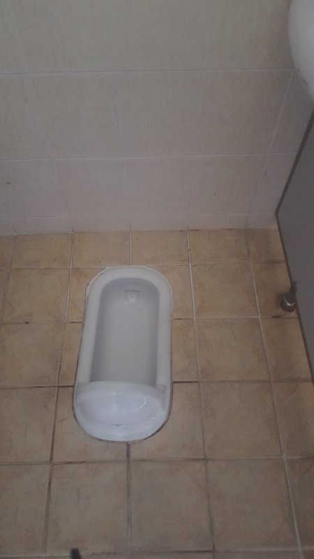 Squatting toilet in Ladies Room