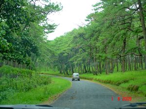 Lovely drive towards Elephant Falls