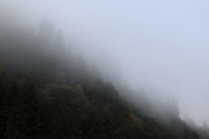 the marine layer on our side of the hill