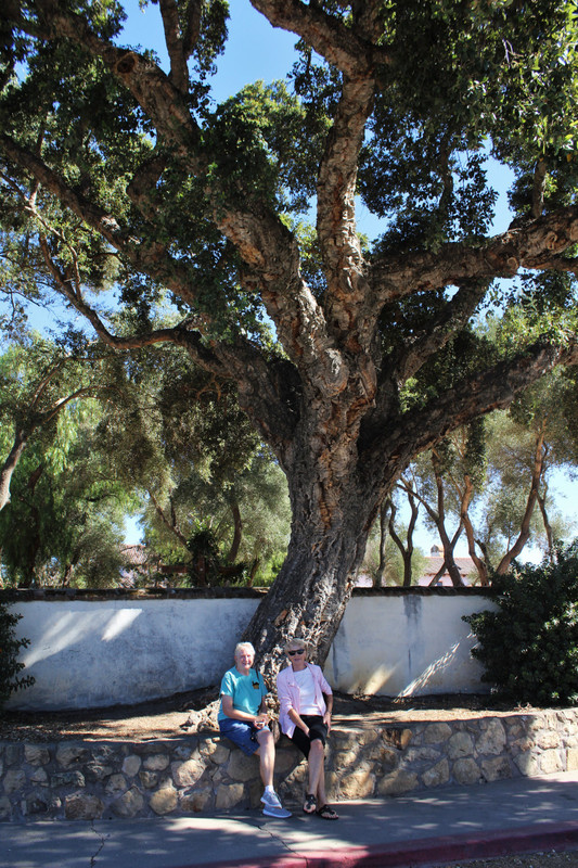 Ginnie and Phyllis under the old oak tree