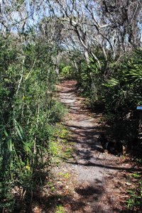the nature trail