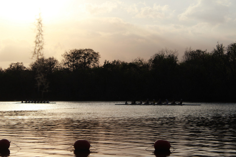 the 2 scull boats in the silver water