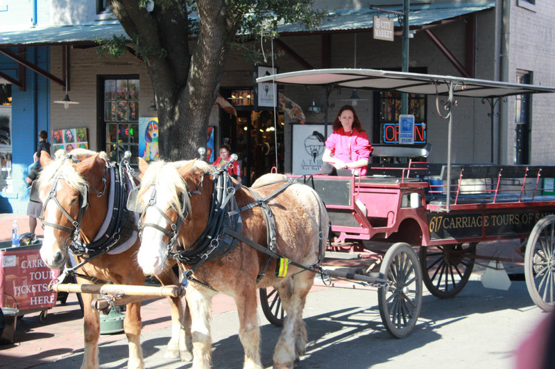 go for a carriage ride