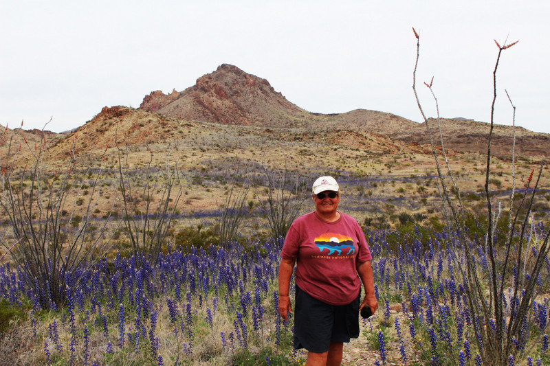 in a field of lupine called Texas blue bonnets here