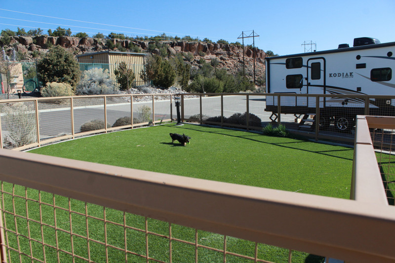 the dog park in White Rock with artificial turf