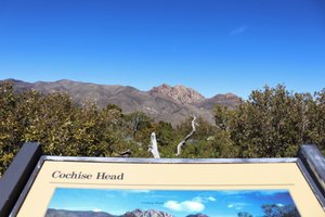 Cochise profile