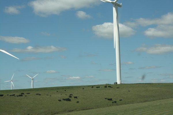 huge windmills