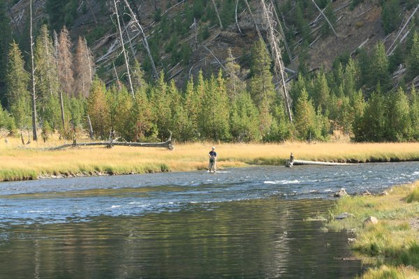 fishing the Madison River
