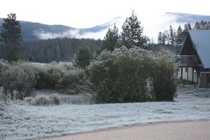 very frosty morning