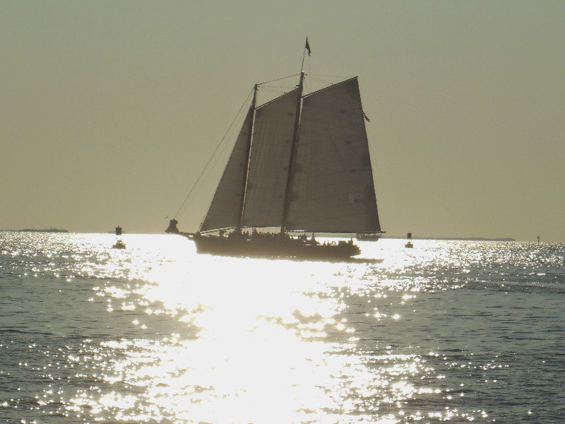 sailing to sunset