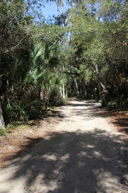 one way road through the campground