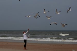 feeding the seagulls