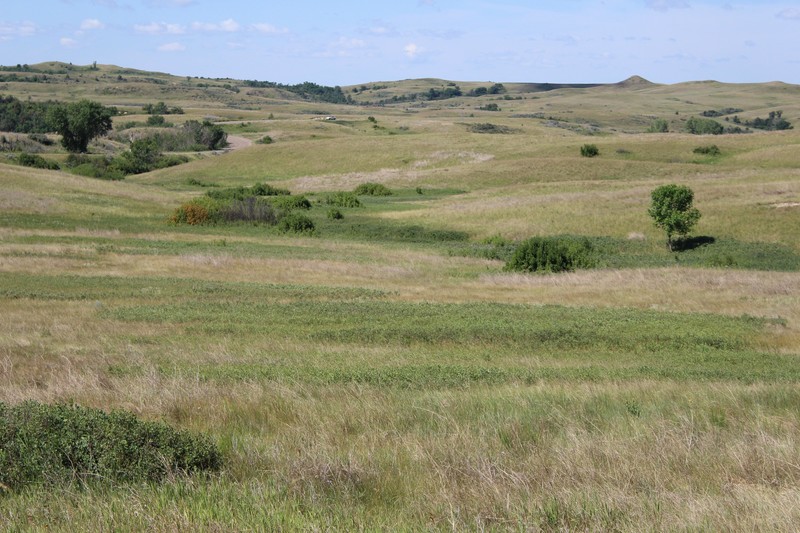 prairie grasslands