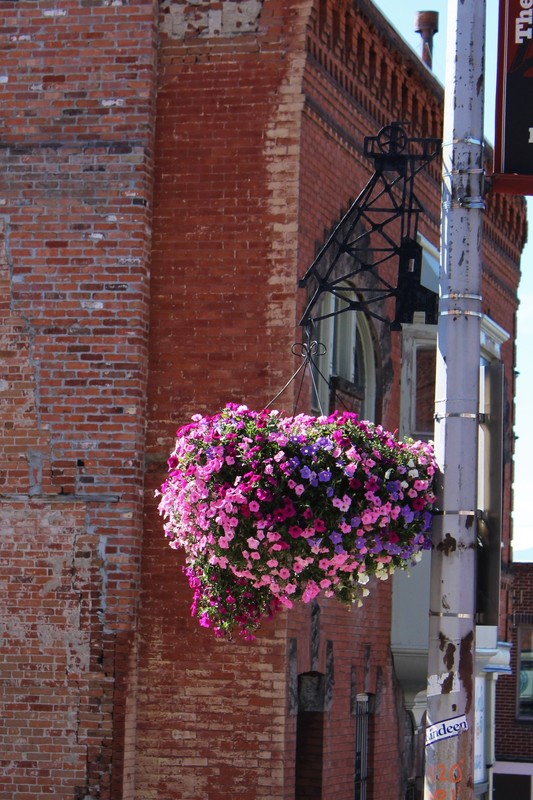 flower baskets in Butte. Note the holder