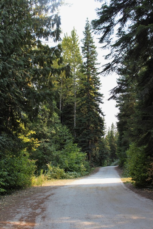 road into this section of the campground