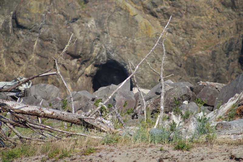 caves at Cape Disappointment 