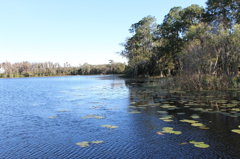 our lake