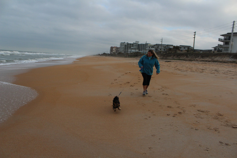 Dee taking Watson for a beach run