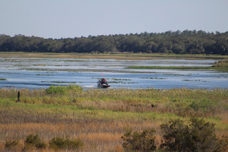 airboat coming in
