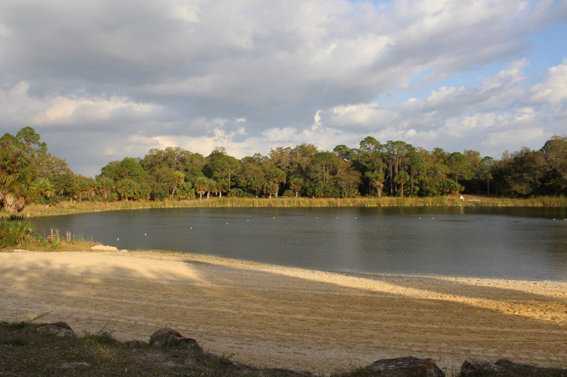 swimming and gator lake