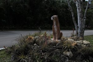 Florida couger statue at the campground