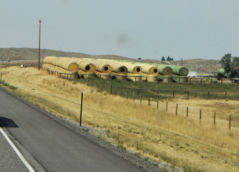 rolls of hay, must have been a productive year