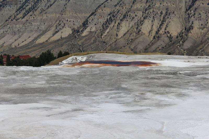On the edge of Mammoth Hot Springs