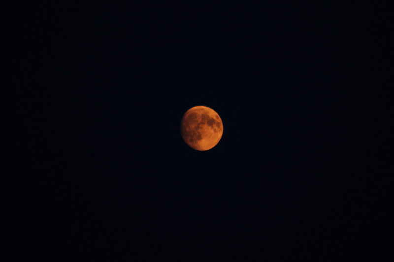 beautiful red moon