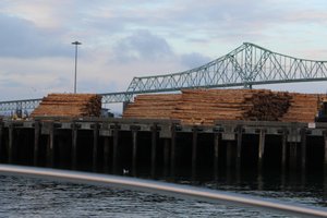 piles of logs waiting shipment
