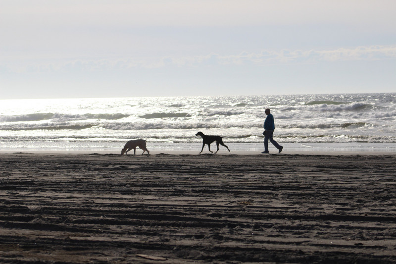 peaceful beach walk with your 2 best buddies