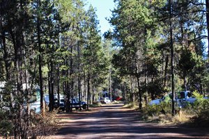 The campground south of Bend. It is a dryer climate so the trees are smaller and less dense.